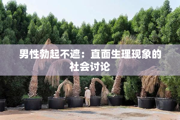 男性勃起不遮：直面生理现象的社会讨论