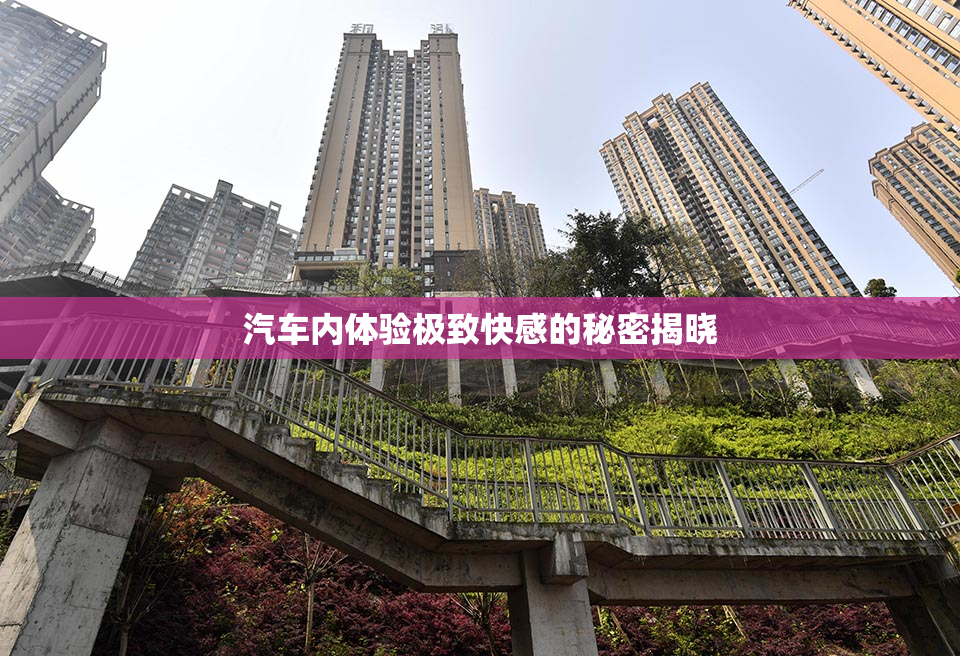 汽车内体验极致快感的秘密揭晓
