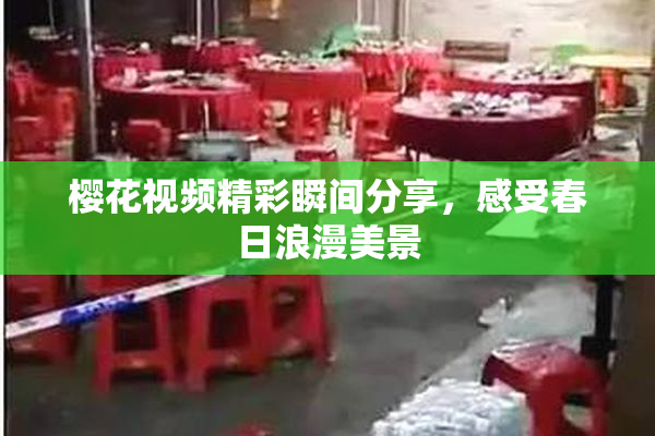 樱花视频精彩瞬间分享，感受春日浪漫美景