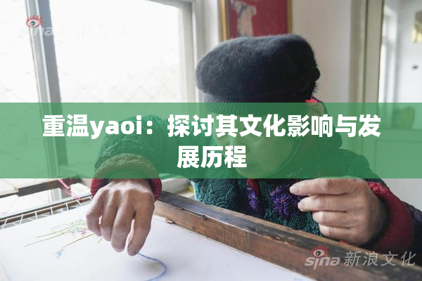 重温yaoi：探讨其文化影响与发展历程
