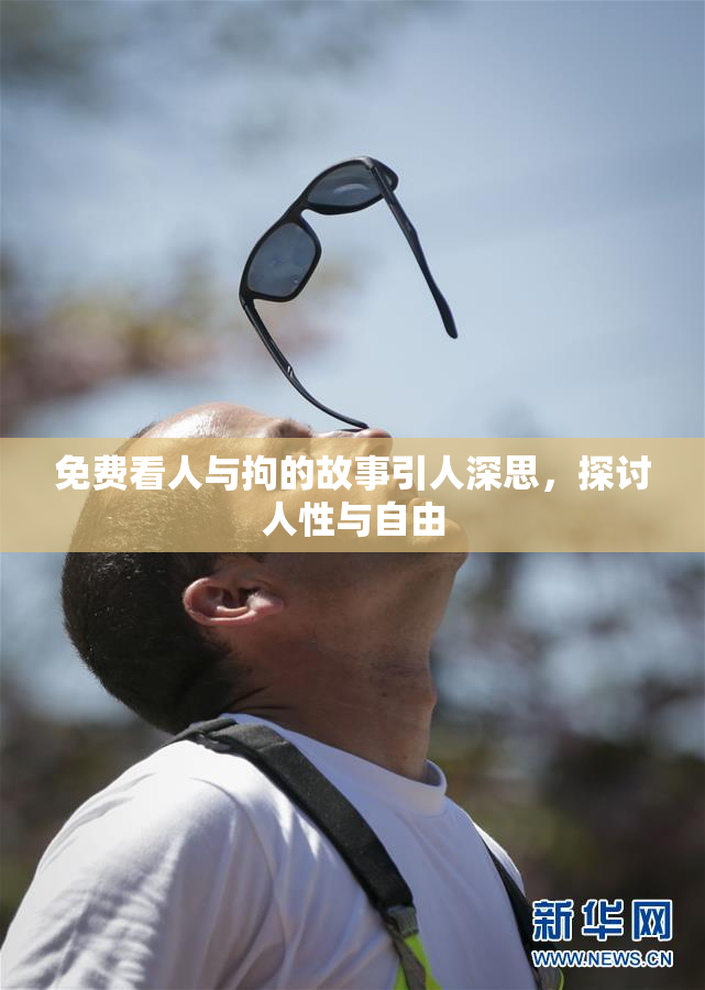 免费看人与拘的故事引人深思，探讨人性与自由