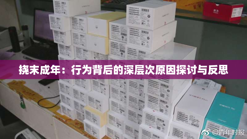 挠末成年：行为背后的深层次原因探讨与反思