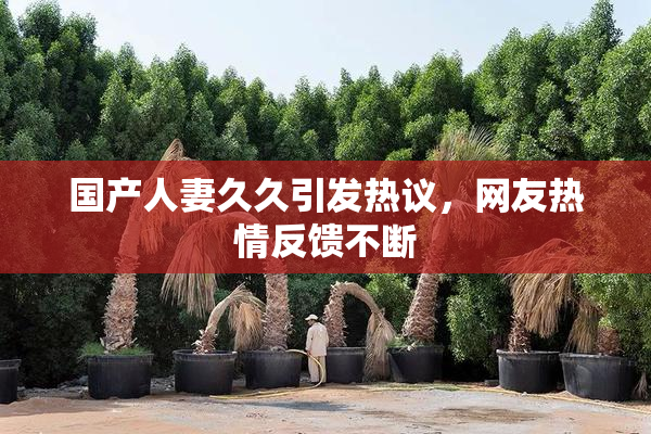 国产人妻久久引发热议，网友热情反馈不断