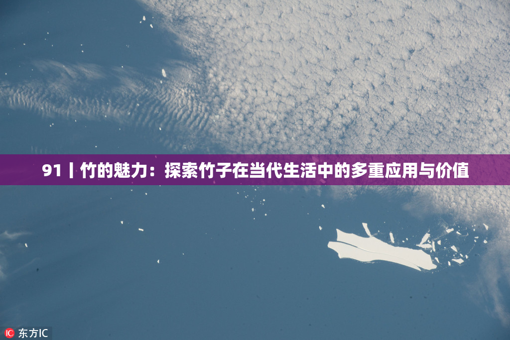 91丨竹的魅力：探索竹子在当代生活中的多重应用与价值