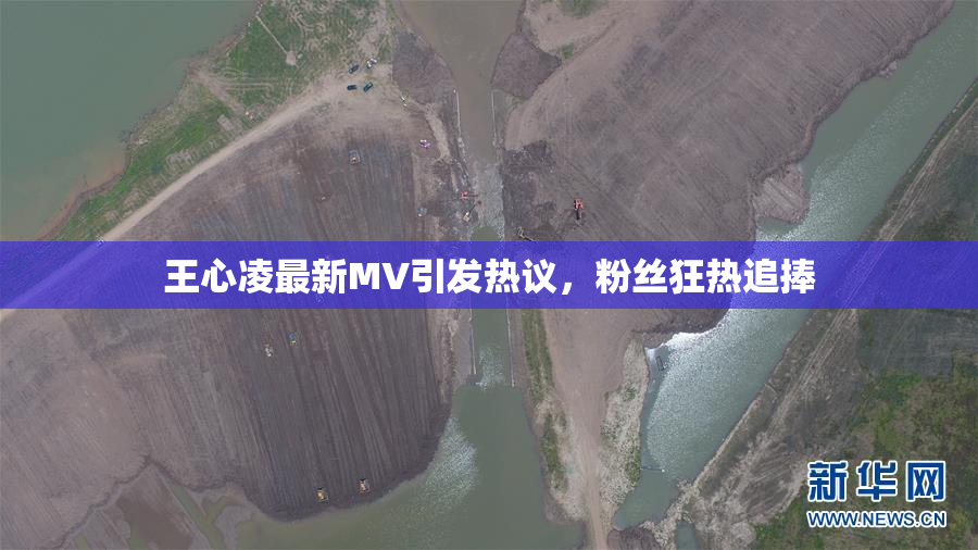 王心凌最新MV引发热议，粉丝狂热追捧