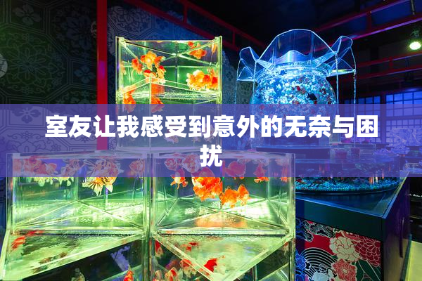 室友让我感受到意外的无奈与困扰