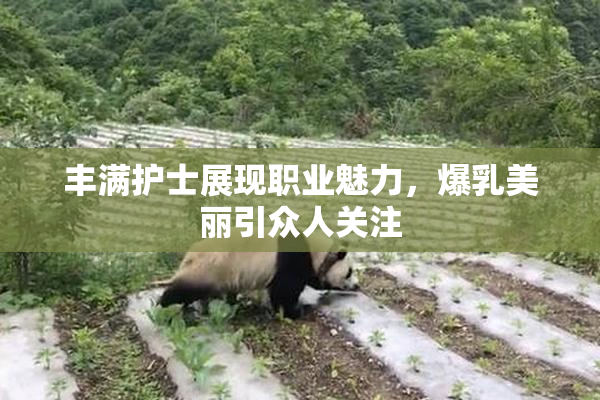 丰满护士展现职业魅力，爆乳美丽引众人关注