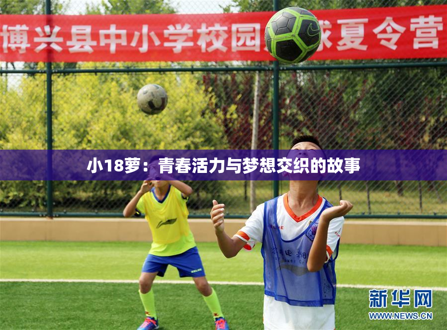 小18萝：青春活力与梦想交织的故事