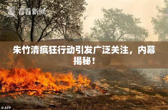 朱竹清疯狂行动引发广泛关注，内幕揭秘！