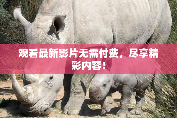 观看最新影片无需付费，尽享精彩内容！