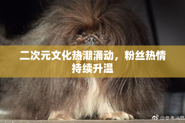 二次元文化热潮涌动，粉丝热情持续升温