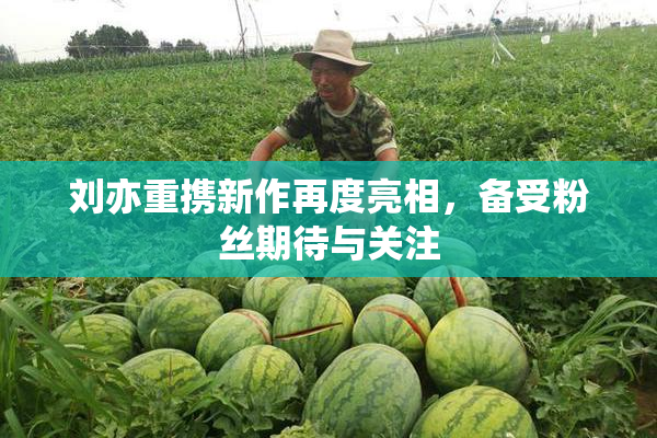 刘亦重携新作再度亮相，备受粉丝期待与关注