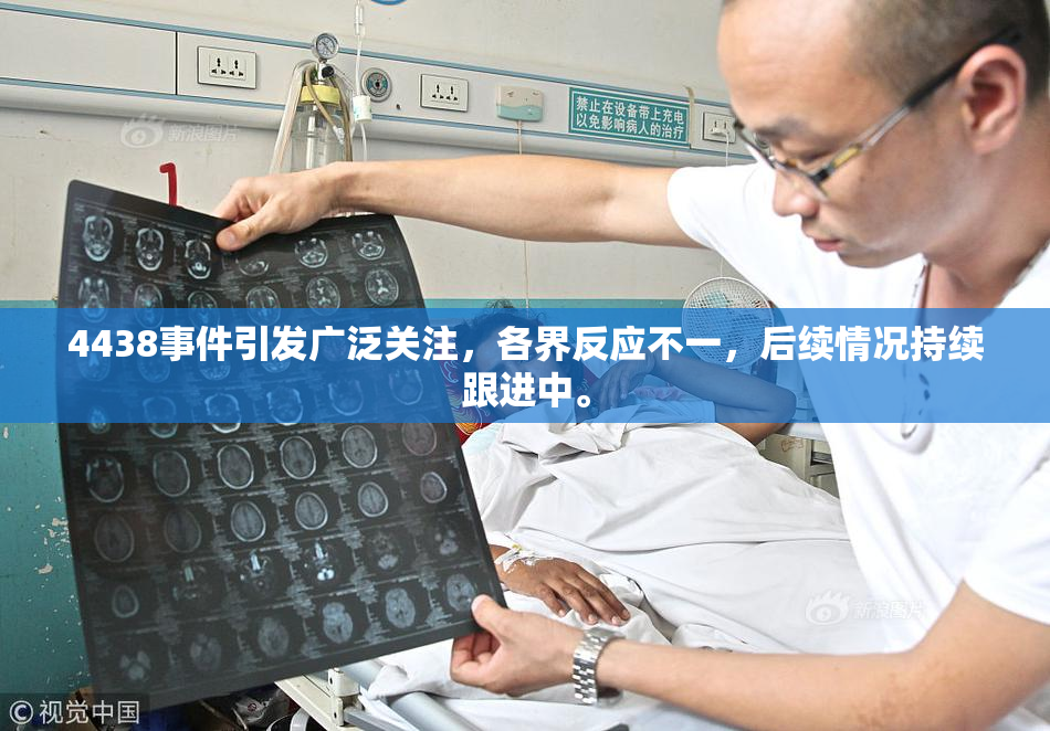 4438事件引发广泛关注，各界反应不一，后续情况持续跟进中。