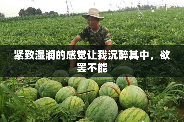 紧致湿润的感觉让我沉醉其中，欲罢不能