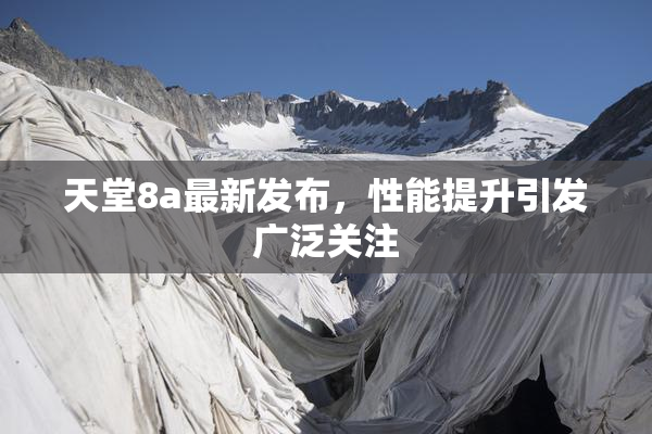 天堂8a最新发布，性能提升引发广泛关注