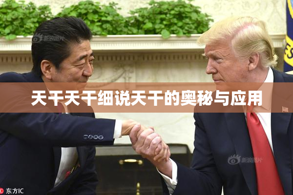 天干天干细说天干的奥秘与应用