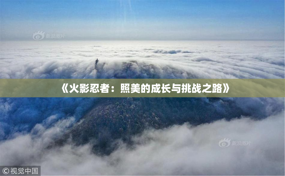《火影忍者：照美的成长与挑战之路》