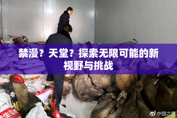 禁漫？天堂？探索无限可能的新视野与挑战