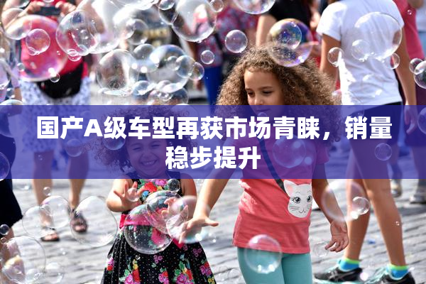国产A级车型再获市场青睐，销量稳步提升
