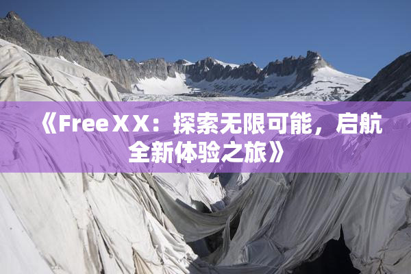 《FreeⅩX：探索无限可能，启航全新体验之旅》