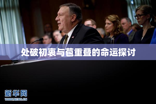 处破初衷与苞重叠的命运探讨