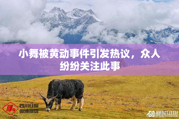 小舞被黄动事件引发热议，众人纷纷关注此事