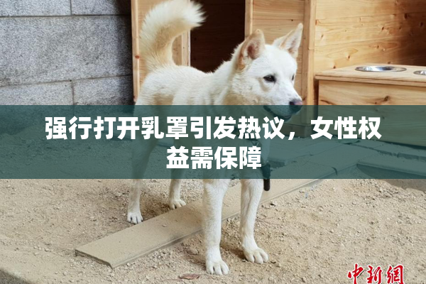 强行打开乳罩引发热议，女性权益需保障