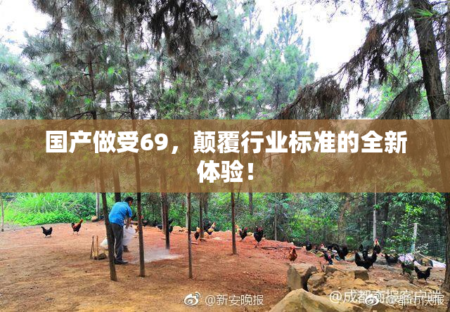 国产做受69，颠覆行业标准的全新体验！