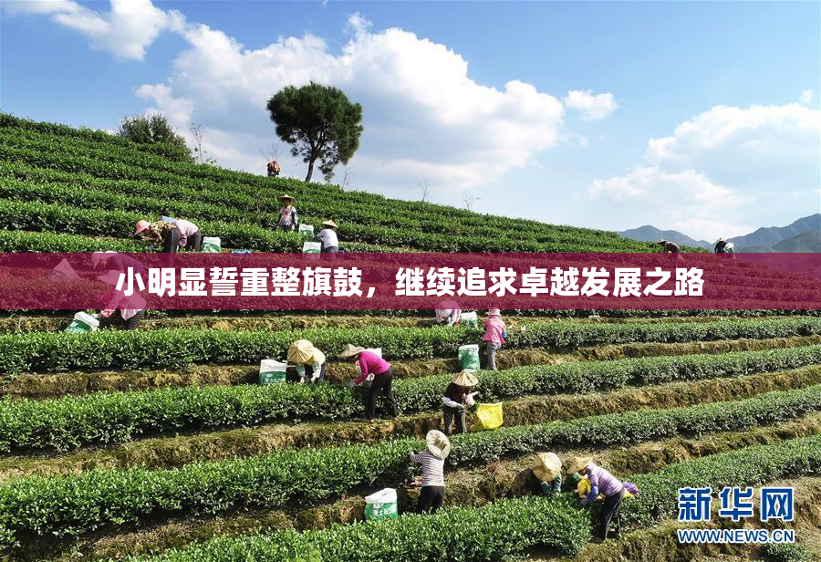 小明显誓重整旗鼓，继续追求卓越发展之路
