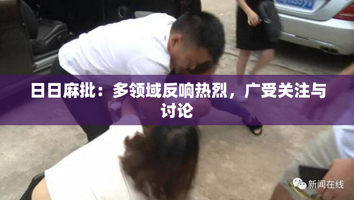 日日麻批：多领域反响热烈，广受关注与讨论
