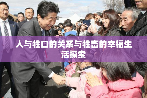 人与牲口的关系与牲畜的幸福生活探索
