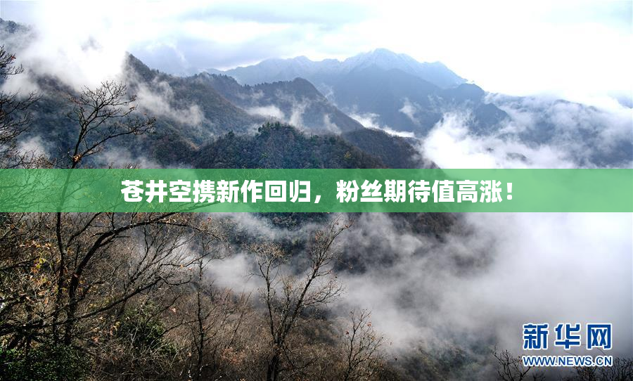苍井空携新作回归，粉丝期待值高涨！