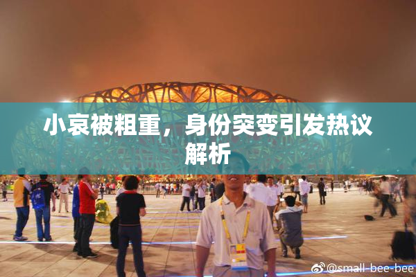 小哀被粗重，身份突变引发热议解析