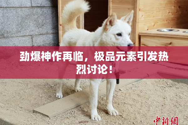 劲爆神作再临，极品元素引发热烈讨论！