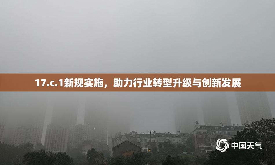 17.c.1新规实施，助力行业转型升级与创新发展