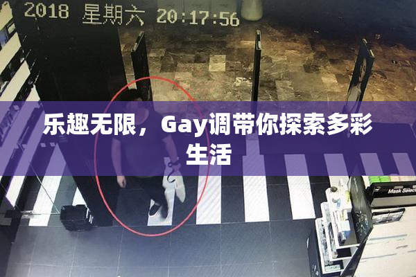 乐趣无限，Gay调带你探索多彩生活