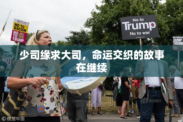 少司缘求大司，命运交织的故事在继续
