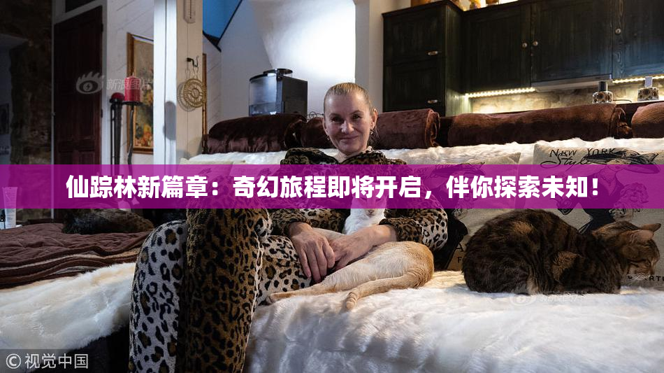 仙踪林新篇章：奇幻旅程即将开启，伴你探索未知！