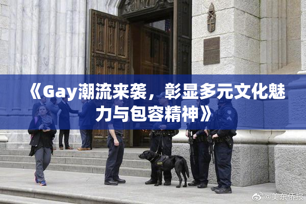 《Gay潮流来袭，彰显多元文化魅力与包容精神》