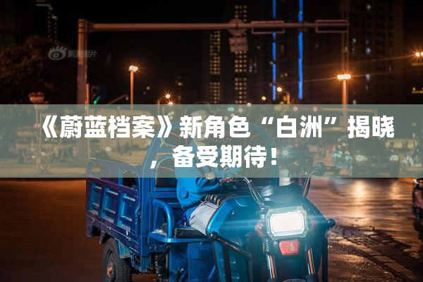 《蔚蓝档案》新角色“白洲”揭晓，备受期待！