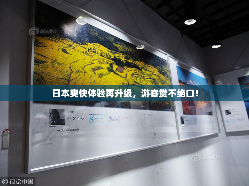 日本爽快体验再升级，游客赞不绝口！