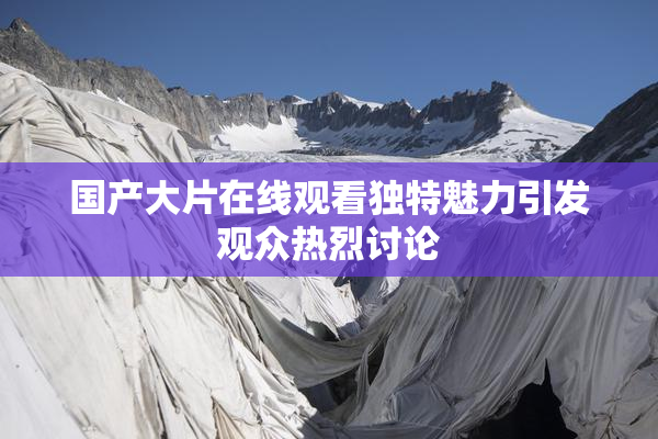 国产大片在线观看独特魅力引发观众热烈讨论