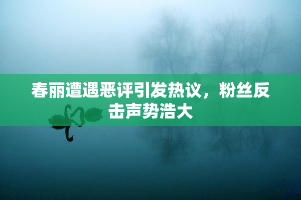 春丽遭遇恶评引发热议，粉丝反击声势浩大
