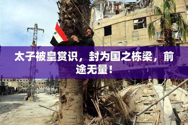 太子被皇赏识，封为国之栋梁，前途无量！