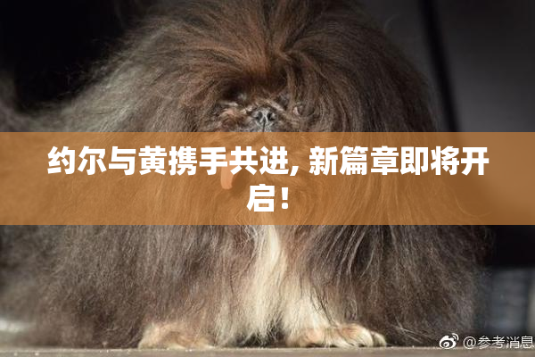 约尔与黄携手共进, 新篇章即将开启！
