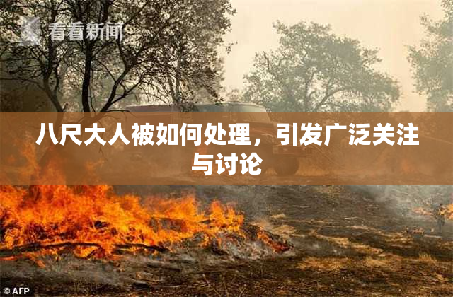 八尺大人被如何处理，引发广泛关注与讨论