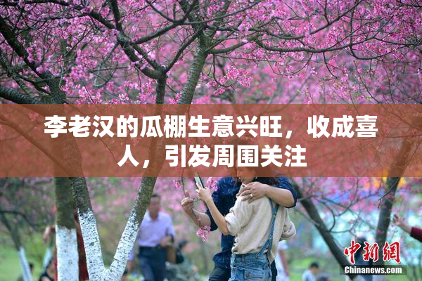 李老汉的瓜棚生意兴旺，收成喜人，引发周围关注