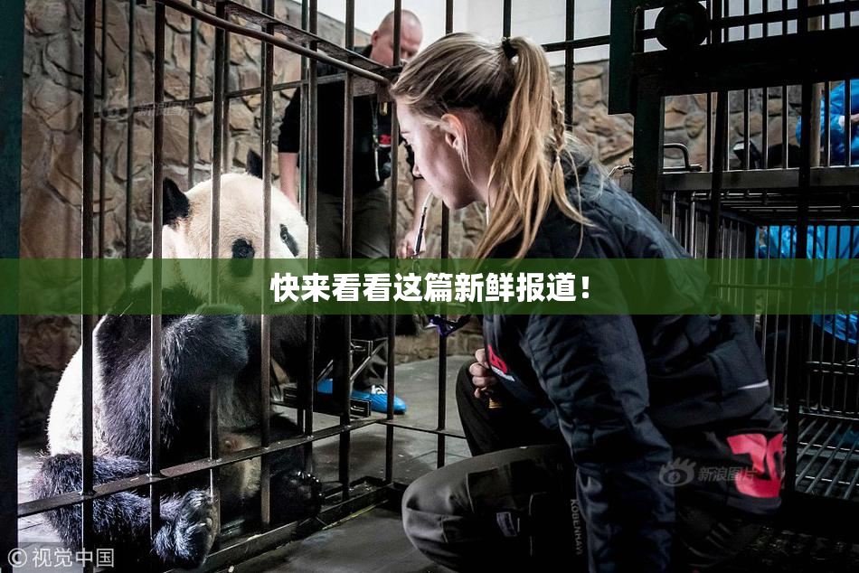 快来看看这篇新鲜报道！