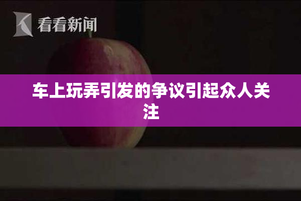车上玩弄引发的争议引起众人关注