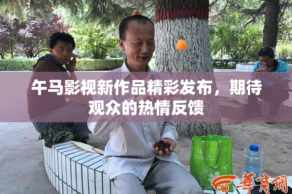 午马影视新作品精彩发布，期待观众的热情反馈